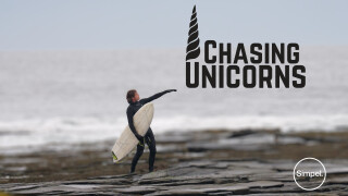 Chasing Unicorns