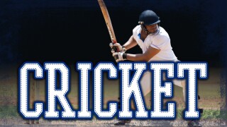Cricket