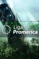 Fútbol Costarricense Primera División