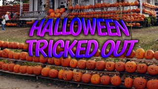 Halloween Tricked Out