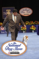 The National Dog Show