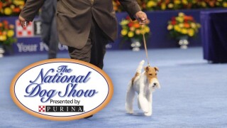 The National Dog Show