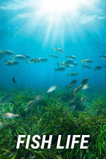Fish Life
