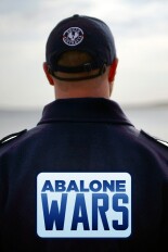 Abalone Wars