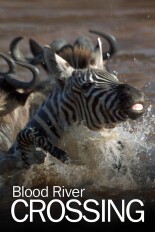 Blood River Crossing
