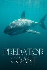 The Predator Coast