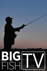 Big Fish TV