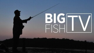 Big Fish TV