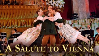 A Salute to Vienna