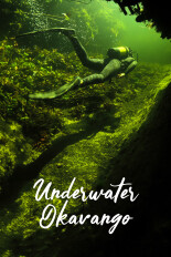 Underwater Okavango