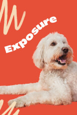 Exposure