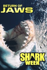 Return of Jaws