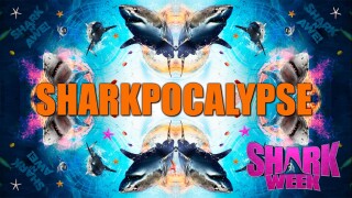 Sharkpocalypse