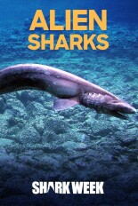 Alien Sharks