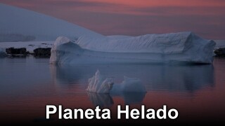 Planeta helado