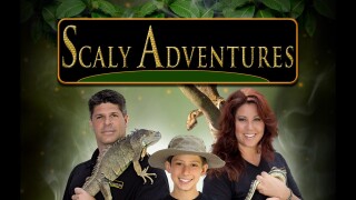 Scaly Adventures