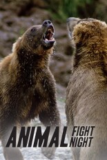 Animal Fight Night