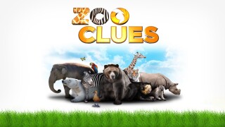 Zoo Clues