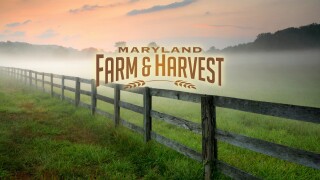 Maryland Farm & Harvest