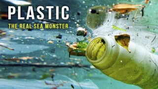 Plastic: the Real Sea Monster