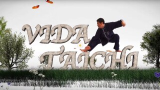 Vida Tai Chi