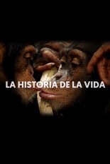 Historia de la vida