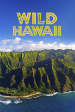 Wild Hawaii