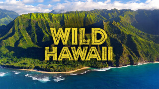 Wild Hawaii