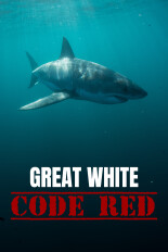 Great White Code Red