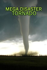 Mega Disaster: Tornado