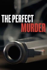 The Perfect Murder