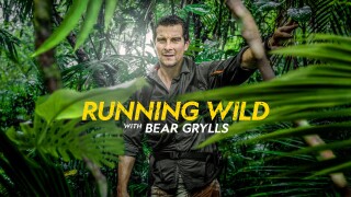 Running Wild With Bear Grylls