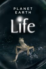 Planet Earth: Life