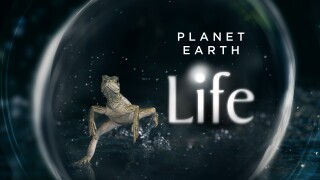 Planet Earth: Life