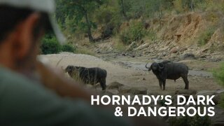 Hornady's Dark & Dangerous