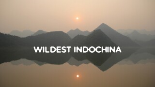 Wildest Indochina