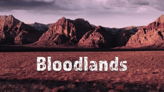 Bloodlands