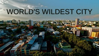 World's Wildest City