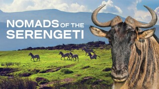 Nomads of the Serengeti