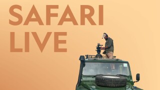 Safari Live