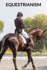 Equestrianism