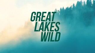 Great Lakes Wild