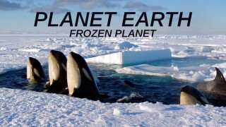 Planet Earth: Frozen Planet