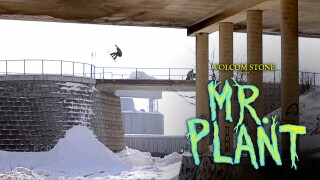 Volcom Stone Presents: Mr. Plant