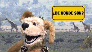 ¿De dónde son?