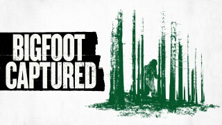 Bigfoot Captured