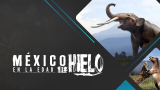 México en la edad de hielo