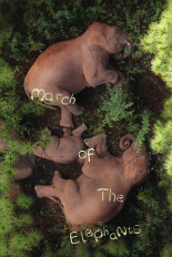 March of the Elephants