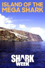 Island of the Mega Shark