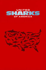 United Sharks of America